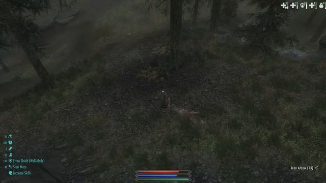 The Dual-Wielder - Requiem 3BF Tweaks Permadeath - EP1: Falkreath Bandit Slaying (way too many) смотреть онлайн