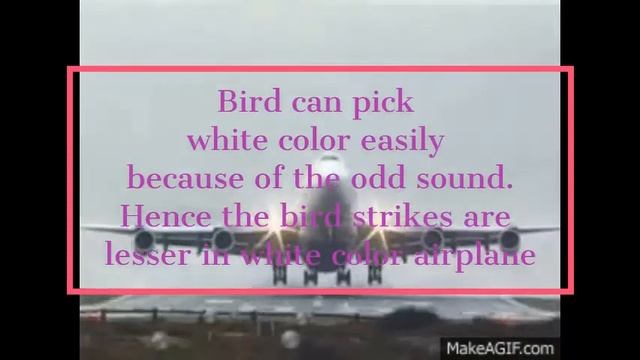 why almost all the planes in the sky are white in colour??? смотреть онлайн