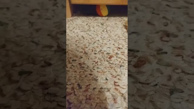 free minecraft mod maker (mcreator) смотреть онлайн