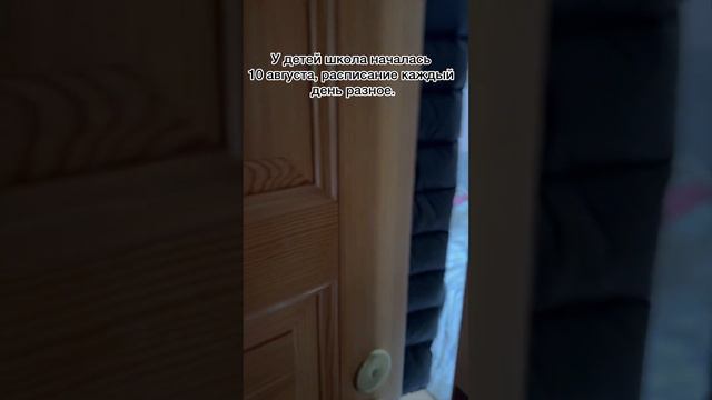 Американская акита Молли и Мейн-Кун Бакс, утро понедельника. смотреть онлайн