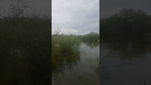 !!!Долгожданная Рыбалка!!! смотреть онлайн