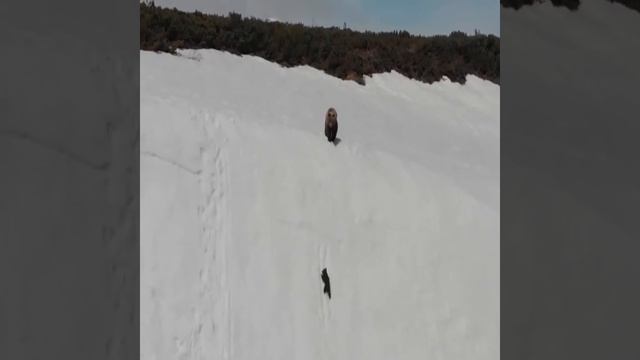 Когда ты думаешь, что не можешь решить проблему, вспомни о нем... )) смотреть онлайн