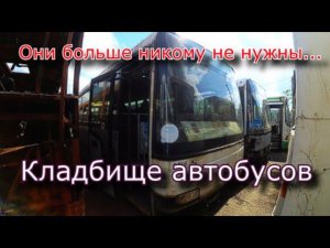 Кладбище автобусов. Они служили верой и правдой
