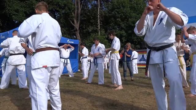 Показательные выступления каратистов на DRF 2015 смотреть онлайн