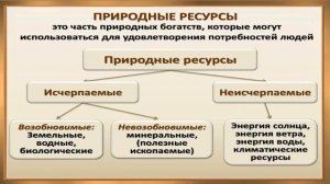 Антропогенное воздействие на биосферу1