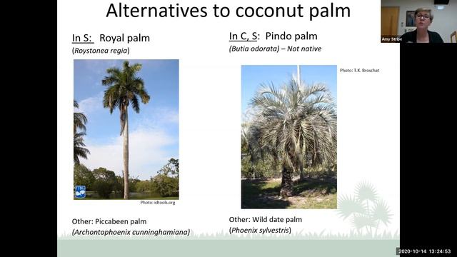 Invasives 2 смотреть онлайн