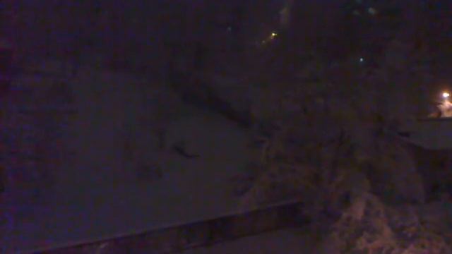 Снегопад 29.12.2009 в Киеве смотреть онлайн