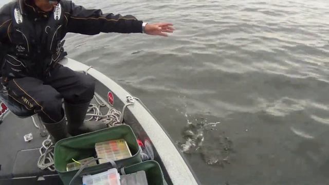 Поймал-отпустил. Щучка смотреть онлайн