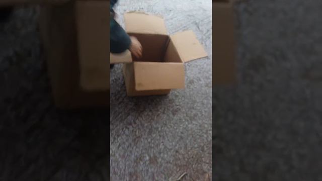 Спасение щенка (1часть) смотреть онлайн