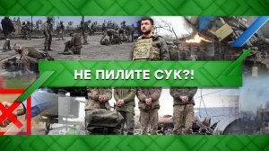 «Место встречи»: Не пилите сук?! (02.06.2022)