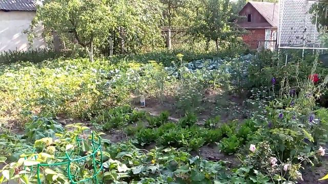 Русский огород смотреть онлайн