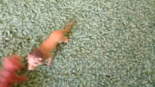 Жизнь львов 2 ая серия смотреть онлайн