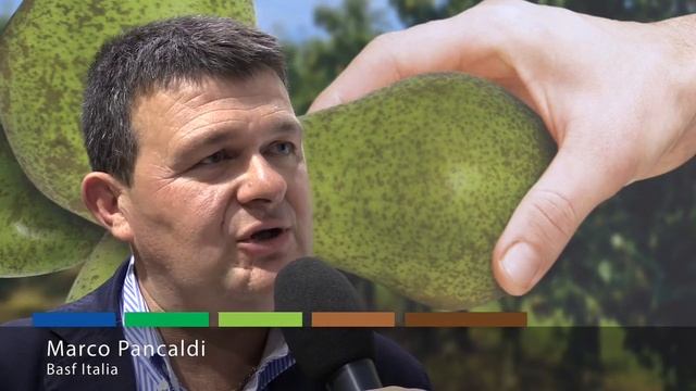 BASF a #Futurpera Marco Pancaldi - Vision Plus e Regalis Plus смотреть онлайн