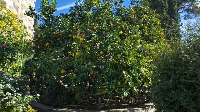 Достопримечательности Сочи смотреть онлайн