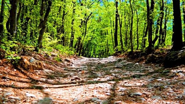 Римская дорога (каньон Узунджа, Крым) смотреть онлайн