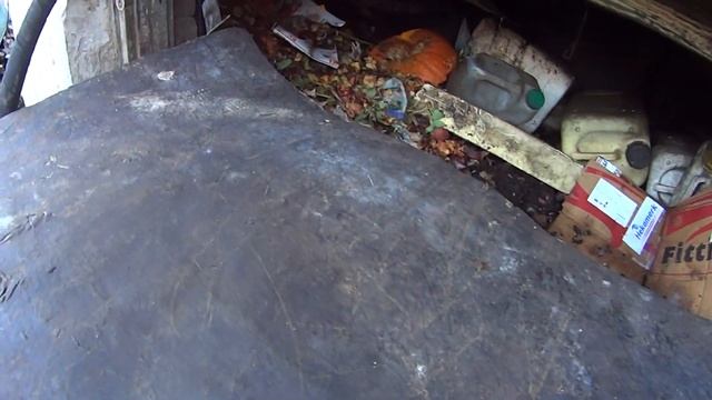 4033 Интересные факты в год крысы смотреть онлайн