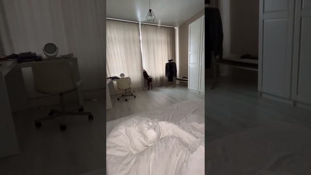 Снежа рассказывает о своей жизни и о друзьях. смотреть онлайн