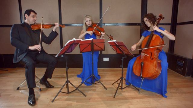 Trumpet Voluntary (Clarke) String Trio Wedding Music смотреть онлайн