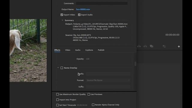Creating Custom Ingest Presets For Proxy Workflows In Premiere Pro | Adobe Creative Cloud