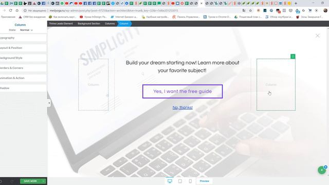 Внешний вид формы  в Thrive Leads   колонки и фон