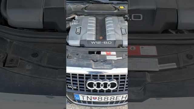 Audi W12 coin test smooth run смотреть онлайн