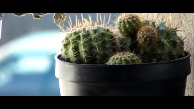 Fujifilm S2950 Video Test HD смотреть онлайн