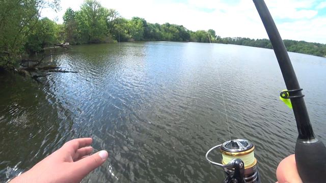 Спиннинг пополам на первом забросе! Закон подлости и микроджиг. смотреть онлайн