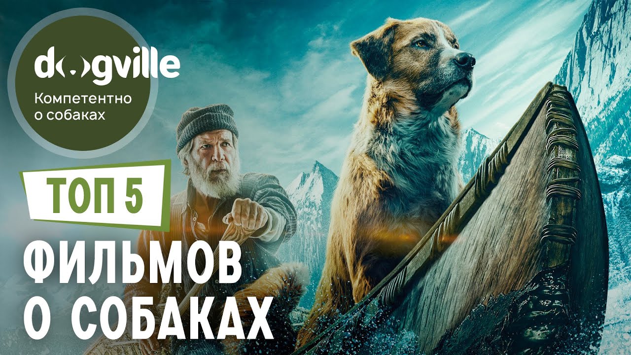 ТОП 5 ФИЛЬМОВ о собаках - Часть 2 смотреть онлайн