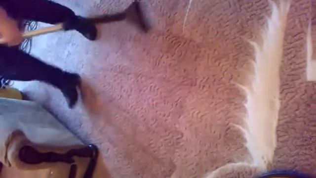 Химчистка ковролинна чистка смотреть онлайн