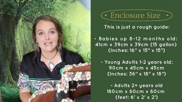 Black-headed python Care Guide! Enclosure setup, heating, substrate and much more! смотреть онлайн