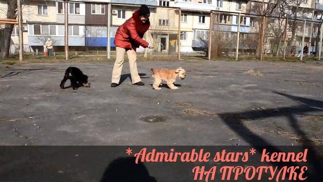 Прогулка Леси и Антошки (4 месяца) смотреть онлайн