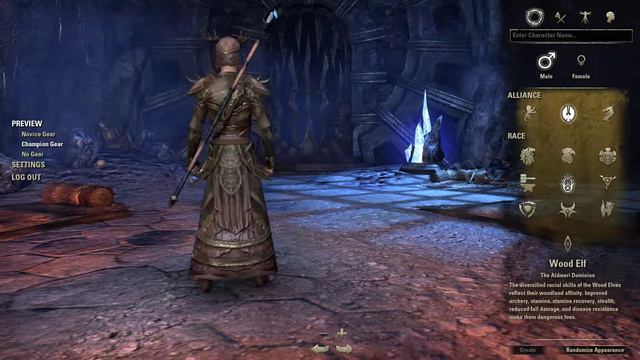 Elder Scrolls Online - Sorceror Champion Gear All Races смотреть онлайн