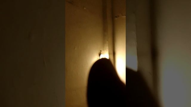 как мне давали повестку смотреть онлайн