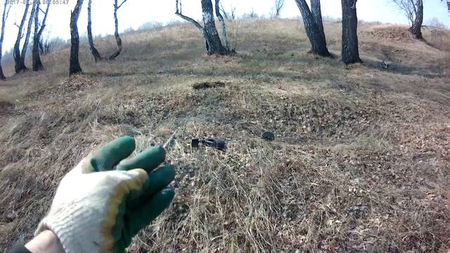 КОП с MD 4030. Взял пса на прогулку. смотреть онлайн