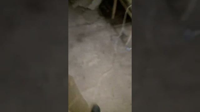 нива 21214 чищу дроссельную заслонку и датчик холостого хода смотреть онлайн