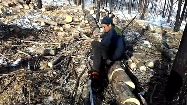 Рабочие будни - заготавливаем дрова смотреть онлайн