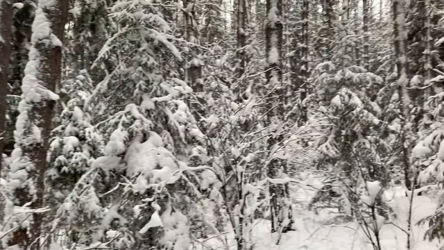 Утренние аффирмации #магияутра