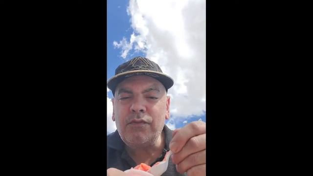 Live from NYC Flushing Meadows Park - old worlds fair grounds смотреть онлайн