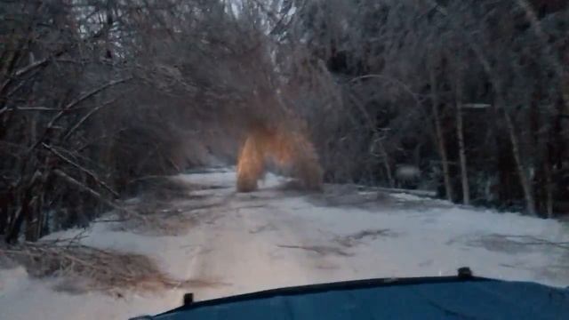 Воскресенский район. Дорога после ледяного дождя. смотреть онлайн