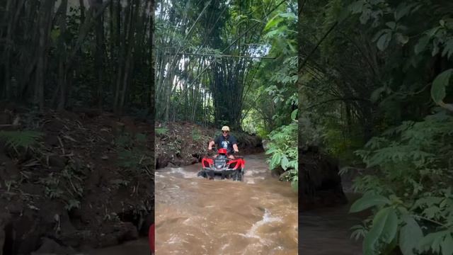 Бали смотреть онлайн