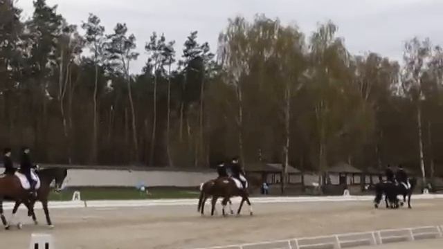 люди и лошади. ПАШКА и ПЯТЬ ДЕВЧЁНОК)) ТАНЕЦ смотреть онлайн