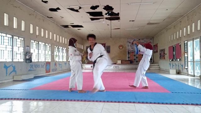 TAEKWONDO SIDE SPLIT KICK смотреть онлайн