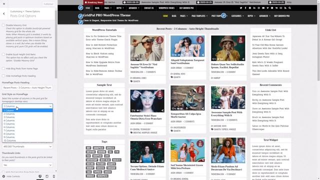 Customizer Theme Options - GridPal PRO WordPress Theme смотреть онлайн