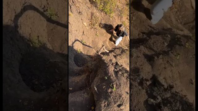 резкий подъем вверх