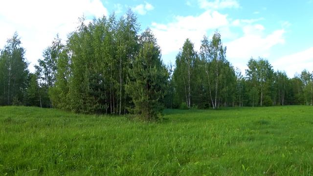 Пение Соловья На Закате, Успокоит Нервную Систему И Погрузит Вас В Глубокий Сон. Звуки Природы. (#1