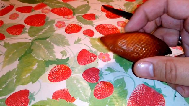 Алисия, шоколадина и змеиный фрукт смотреть онлайн