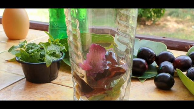 Jambolan Mojito | Jamun Mojito | Black Plum Mojito | Indian Blackberry | Java Plum смотреть онлайн