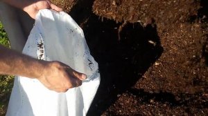 Конский трехлетний перегной.