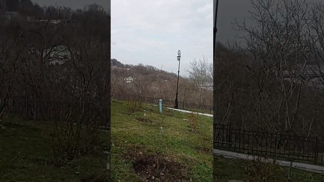 Расцвели проблески в Лавре. Какая Благодать!!! смотреть онлайн