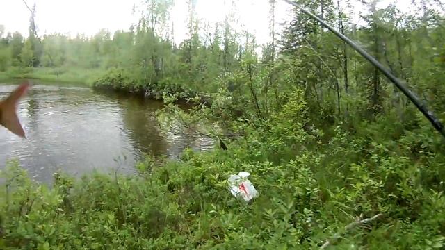 рыбалка кольский